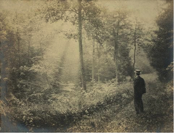 a forest of symbols